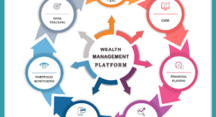 Why Mutual Fund Software in India Presents Consolidated Information?