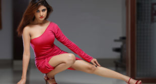 Independent Delhi Escort Service