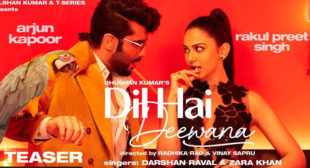 Dil Hai Deewana Lyrics