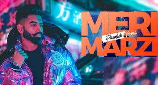 Meri Marzi Lyrics