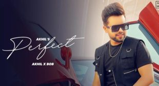 Perfect Lyrics – Akhil