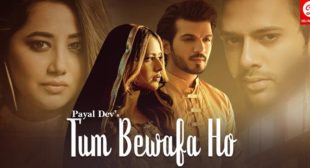 Tum Bewafa Ho Lyrics – Payal Dev