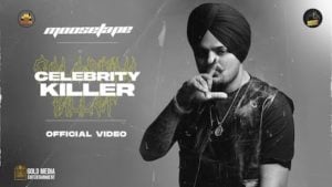 Celebrity Killer Lyrics