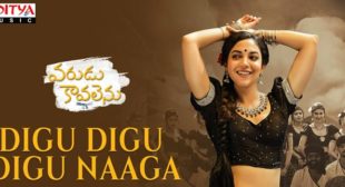 Digu Digu Digu Naaga Lyrics