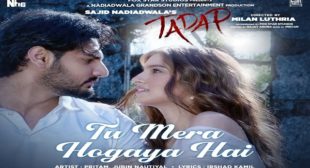 TU MERA HO GAYA HAI LYRICS – JAVED ALI