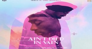 AIN’T DIED IN VAIN LYRICS