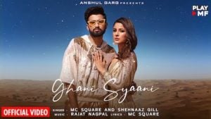 Ghani Sayani Song Lyrics