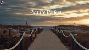 Picture Perfect – Navaan Sandhu