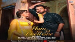 HUM TOH DEEWANE LYRICS