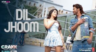 DIL JHOOM LYRICS IN Hindi