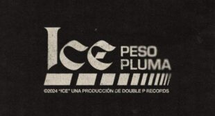 ICE (English Translation) Lyrics – Peso Pluma