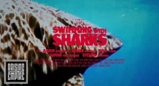 Swimming with Sharks Lyrics