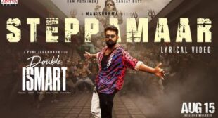 Steppamaar Lyrics – Double Ismart