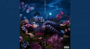 Adicto (English Translation) Lyrics – Kali Uchis