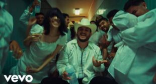 Lyrics of BORRACHO Song