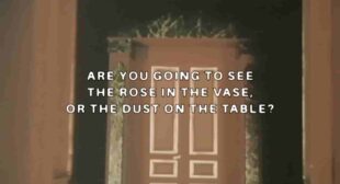 ARE YOU GOING TO SEE THE ROSE IN THE VASE OR THE DUST ON THE TABLE? LYRICS – $UICIDEBOY$