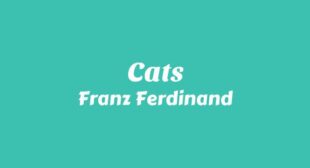 Cats Lyrics – Franz Ferdinand