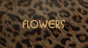 FLOWERS Song Lyrics