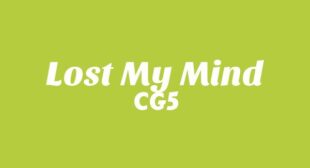 Lyrics of Lost My Mind Song