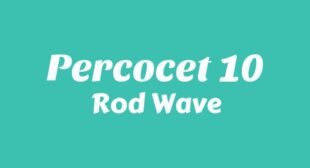 Percocet 10 Lyrics – Rod Wave