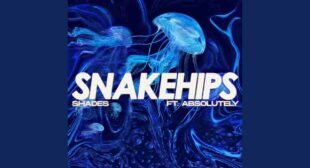 SHADES LYRICS – Snakehips