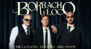 Lyrics of BORRACHO Y LOCO Song