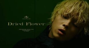 Lyrics of Dried Flower Song