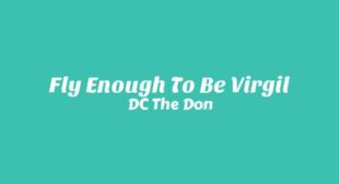 FLY ENOUGH TO BE VIRGIL Lyrics – DC The Don