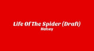 Life Of The Spider (Draft) Lyrics – Halsey