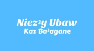 Niezły ubaw Song Lyrics