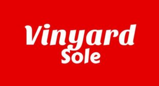 Vinyard Song Lyrics