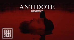 Antidote Lyrics – blacktoothed