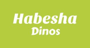 HABESHA Lyrics – Dinos