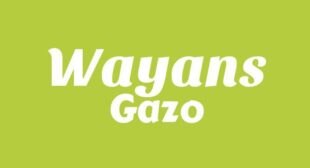 WAYANS Lyrics – Gazo