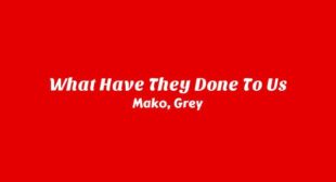 What Have They Done to Us Lyrics – Mako