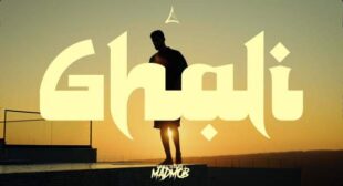 Lyrics of Ya Ghali Song