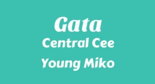 Gata Lyrics – Central Cee