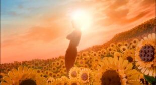 Girasol (English Translation) Song Lyrics