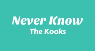 Lyrics of Never Know Song