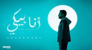 Lyrics of Ana Beki – أنا بيكي Song