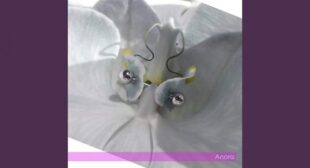 Lyrics of Anora Song