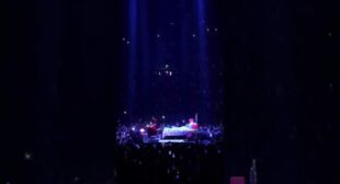 Cold Goodbyes Lyrics