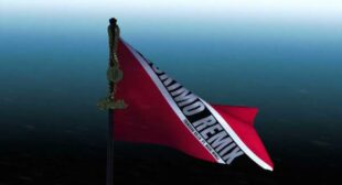 ESKIMO (Remix) Lyrics