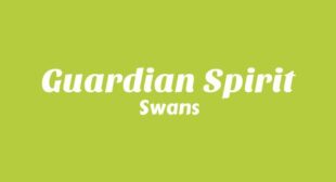 Guardian Spirit Lyrics