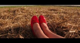 High Fashion Song Lyrics