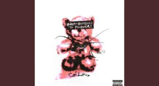 I Hate Your Friends Song Lyrics