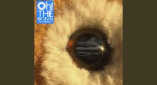 I Love America And She Hates Me Song Lyrics