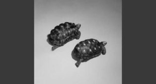 Love Is A Stillness Lyrics