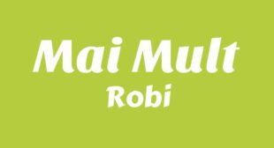 Lyrics of MAI MULT Song