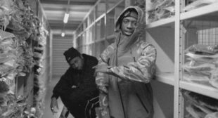 Lyrics of Still a Rose (English Translation) Song